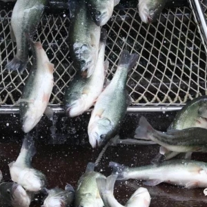 2018��2��12�ռ����|���^�r���麆��--�r���^�m��ƽ