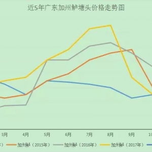 �q�r�ˣ���(ji��)�Վ��ӏV�������|�q1Ԫ/�