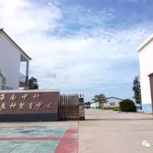 ���ƉŔ࣬�x�����m���Ї����H�r��