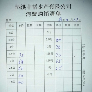 2018��2��17���rз�r��