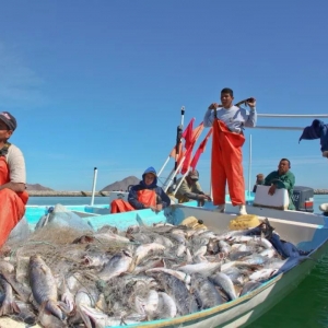 ����2025�꣬���ƝO�I(y��)�a(ch��n)���AӋ�H���L1��