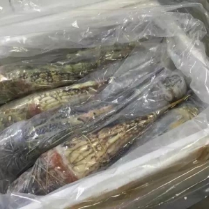 2018��2��18�պ��r������Ϣ���Ϸ��{�@��ϖ������