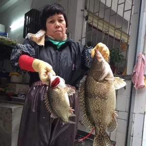 5ʡ�Z�~�q��ϲ��ȫ���h�t��