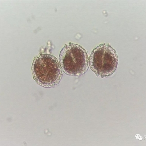 �����l���t�����󣬾�����һ݆ˮ�A�¼���