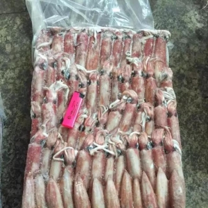 2018��2��23�պ��r������Ϣ��ӡ��t���~���������r�������{�����~