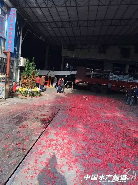 ������ͨ�������r�����d...���ゃ����_�T����