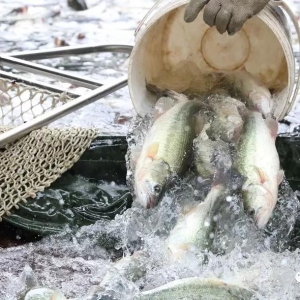 �~�r���������������|�q1Ԫ��