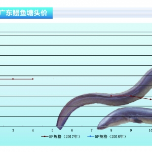 �S�X���r�񲨄�׃�󣬝q�����@-��ˮ�aǰ�ء�2018��2�¿��Ј�څ��