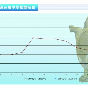 ���~���q��څ�� ������������ˮ�aǰ�ء�2018��2�¿��Ј�څ��