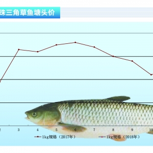 ���~��ȫ���Ј�һƬ�t����ˮ�aǰ�ء�2018��2�¿��Ј�څ��