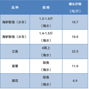 ���|���~�������٣����п���