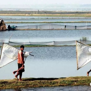 �r�r(n��ng)��ը���������Ї�(gu��)Ҫ�������Y���B(y��ng)�r