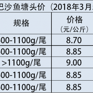 Խ�ϰ�ɳ�~ԭ�σr���_31000Խ�϶�/����r���ٴα�ˢ�£�