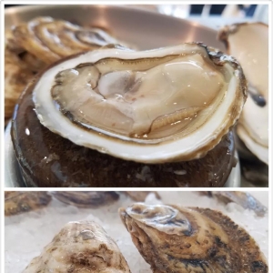 2018��3��6�պ��r������Ϣ�����ô�۵��A���Ӎu��ϖ