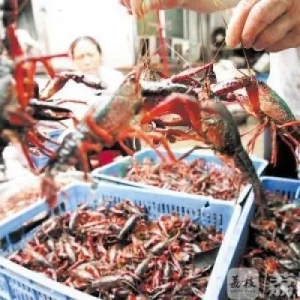 С���r�ѽ��������ϲ��������l�r�������30%��