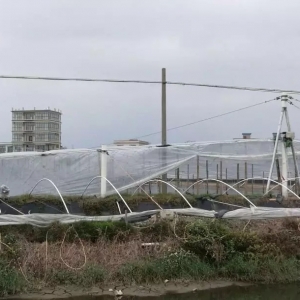 Ч��ߣ�ģʽ�ã��@�ط�һ�����B4���r