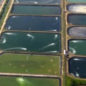 ȫ���r�Bֳ��e3390�f��������������a���H760��/��