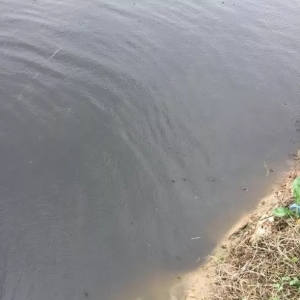 �����r��������~��Ҳ�@�����~����ô�k��