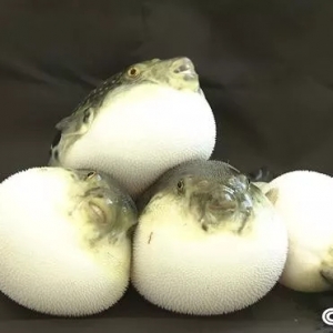 һ�P����̝3ǧ���f(w��n)����һ���g���~(y��)������ٍ�|�f(w��n)��