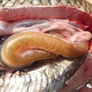 ���紺�B�~ٍ���X�᣿Ո���������@����