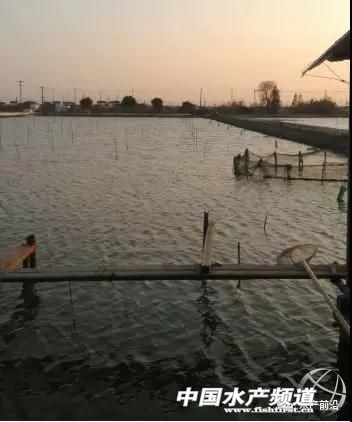 �Ô����fԒ���Bֳ���lзȫ������Ч����ߣ�