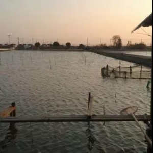 �Ô����fԒ���Bֳ���lзȫ������Ч����ߣ�