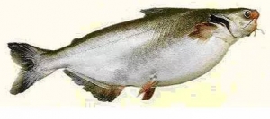 ���������˽��ɳ�~�a�I��ǰ������