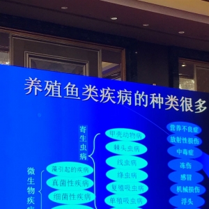 ꐲ������~������ЬF(xi��n)����صĆ��}�c����