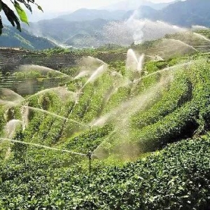 �lչѭ�hˮ�Bֳ�y�����Ǟ��˹��sˮ�᣿