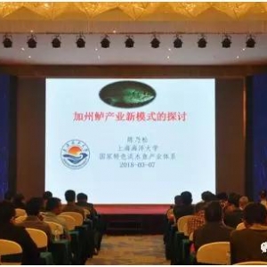 ���߂�������������|�a�I��ģʽ