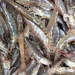 ÿƽ�����r17����Ķ����r���@���B(y��ng)��