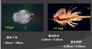 ������Z�~������ϵ��_�l(f��)�c��(y��ng)��