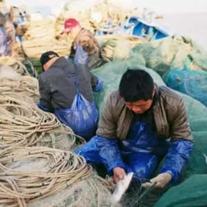 ���һ�������~�����������(n��i)ȫ�����