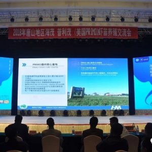 �B(y��ng)�r�ɹ�֮·���@��I(y��)�@ô����