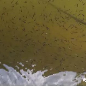 �A�ϼ����|����e���l��������������̎�~��ȫ܊���]��