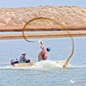 δ���B�r�϶����@��Ͷι����������8%