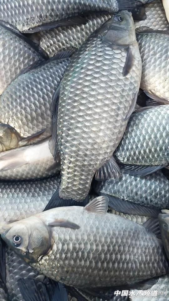 �a�~��ߝq1Ԫ/������x���Ú��������·������@�