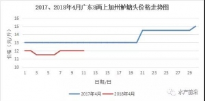 �V�|�����|�q0.5Ԫ���V�����c��ӭ�����飿