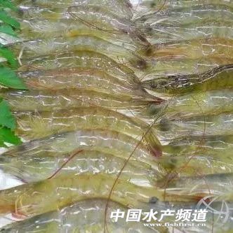 ���r���������r�r�»���������������