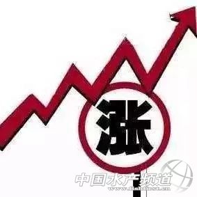 �����~�r���λ�����|�j�q�����~�N�^���ԝq��