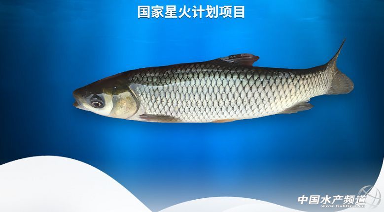 ���~���ļҏ�������2018�ꃞ�|���~������gӭ���]����ՈͶƱ��