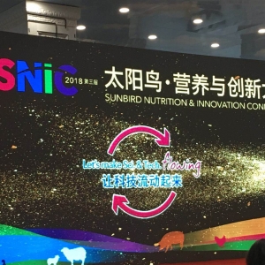 ̫��B���I�B(y��ng)��(chu��ng)�´��ʢ��Ļ�ИI(y��)��Ӣ�R��