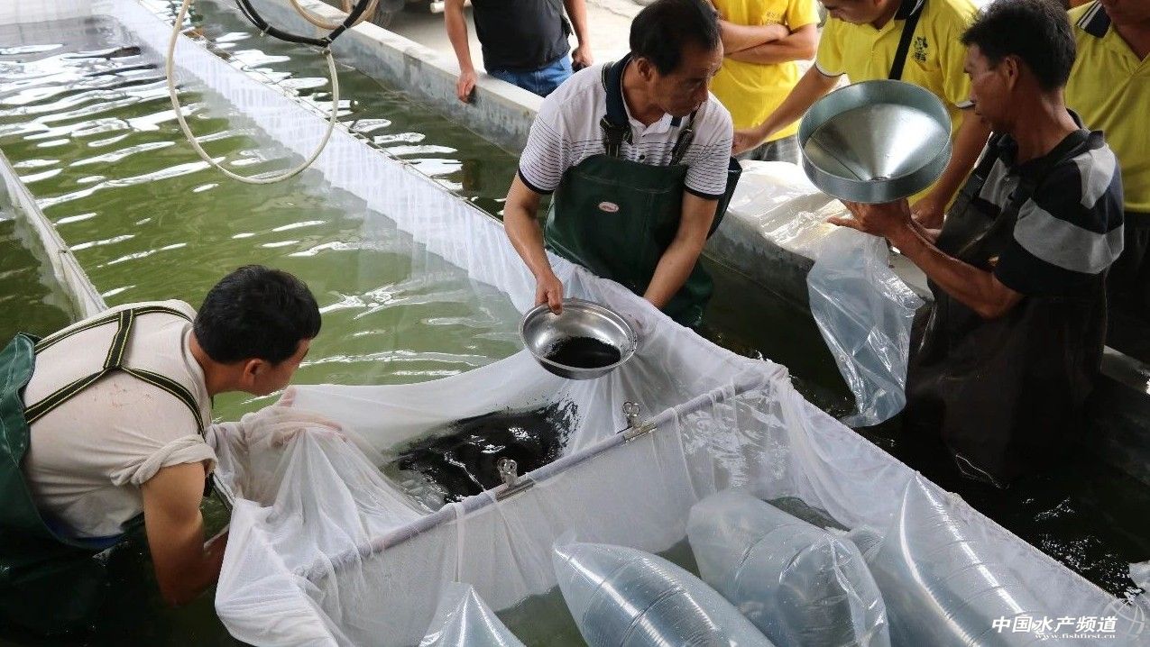 ��һ��ꠓ���ı�Ʒ���������~����ͻ��15Ԫ/������2�f����@�ˮ��a��ȼ���L�D�B�� | 2018���~ُ�Nָ��