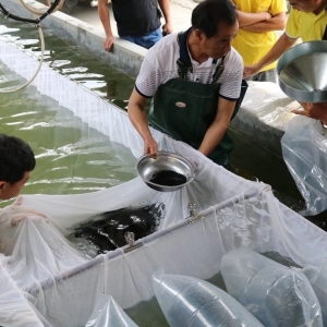 �������~����ͻ��15Ԫ/�2018���~ُ(g��u)�Nָ��