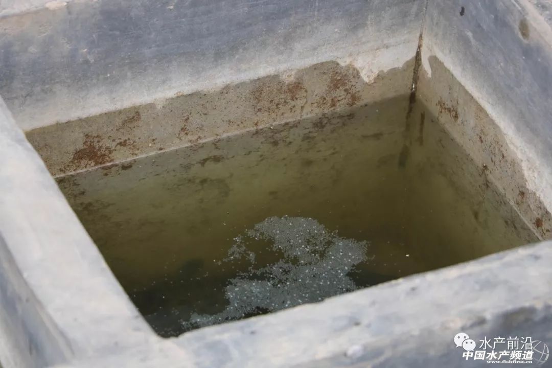 ��һ��ꠓ���ı�Ʒ���������~����ͻ��15Ԫ/������2�f����@�ˮ��a��ȼ���L�D�B�� | 2018���~ُ�Nָ��