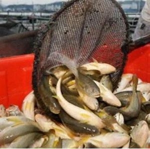 30�|β�Ј�����������x��(y��u)�|(zh��)�磿�����S�~֮�������Ҹ�����֧��