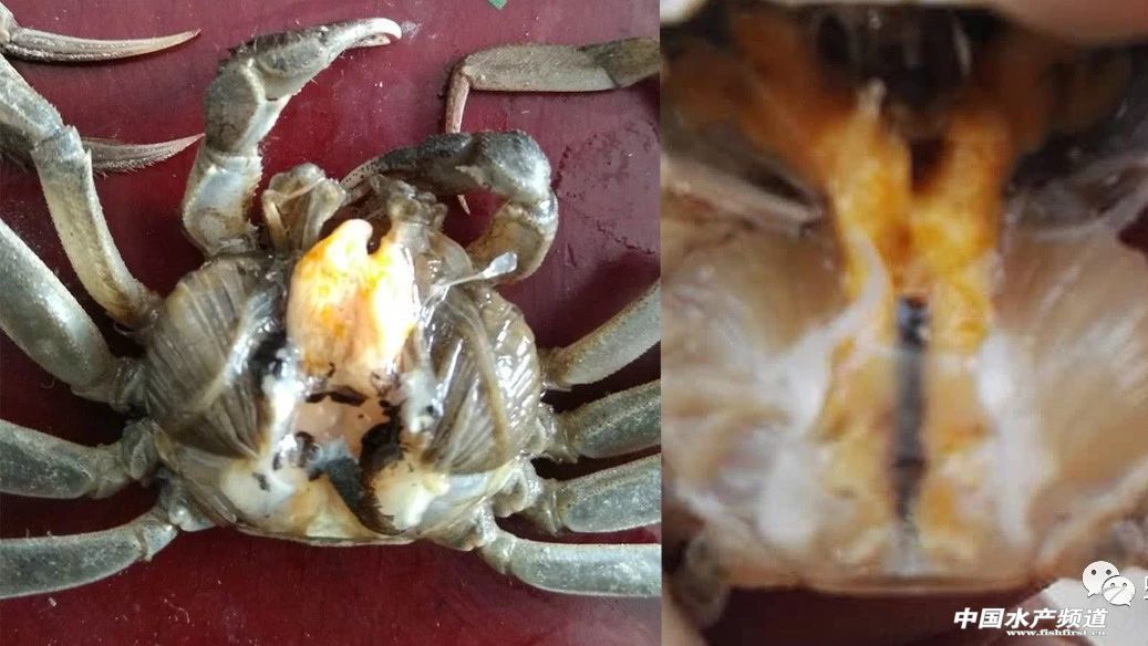 �з�����ϰ�������ô��