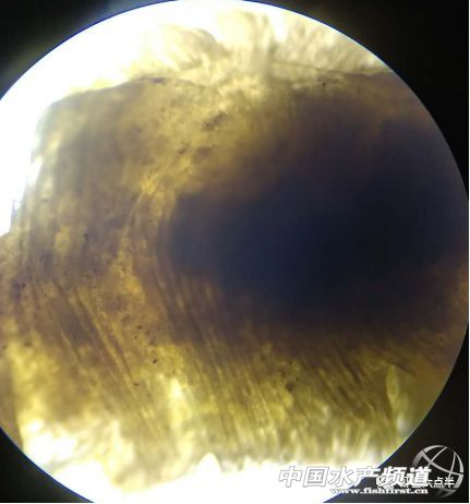 �з�����ϰ�������ô��