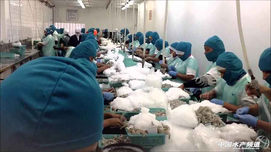 Ų�������~��Խ�ϳ��ڱ��p���V���Ј�����һ݆ϴ������