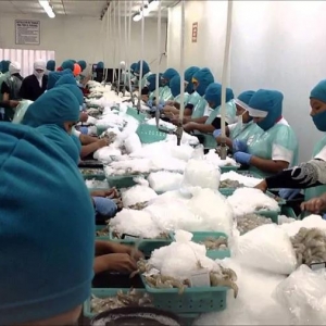 Ų�������~��Խ�ϳ��ڱ��p���V���Ј�����һ݆ϴ������